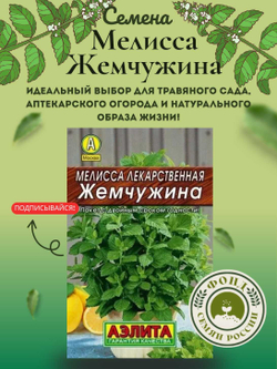 Мелисса Лекарственная, Жемчужина, Семена 0,1 гр.