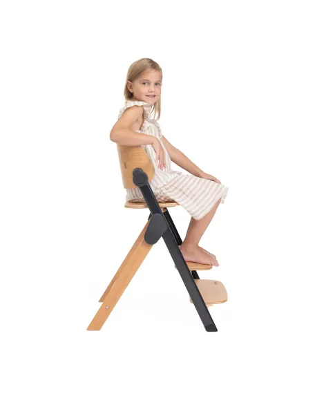 Стульчик для кормления Chicco Meraviglia Ebony