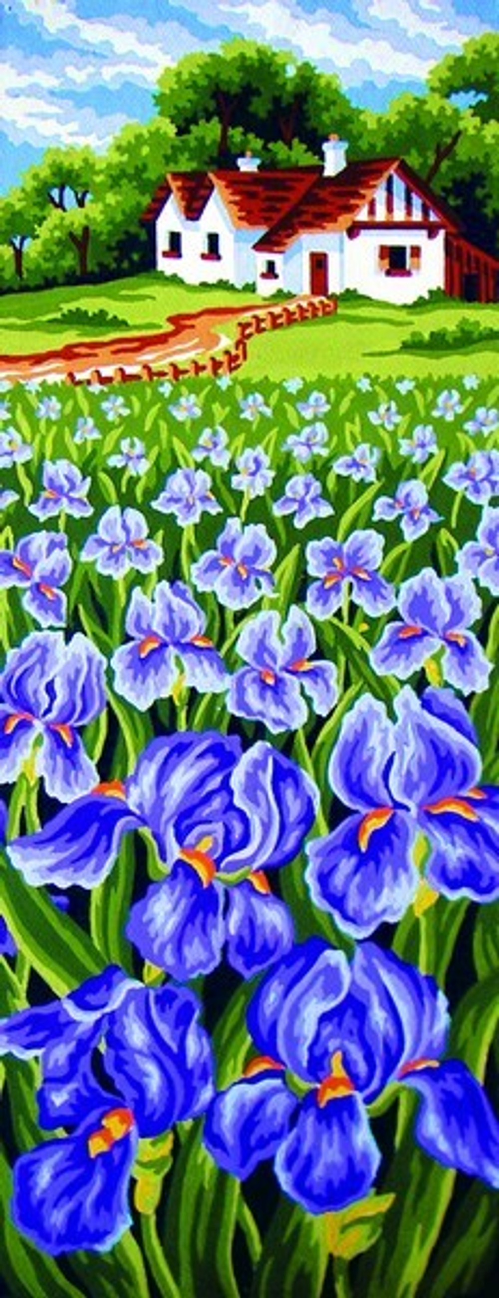 "Ирисы"-8047 канва с рисунком