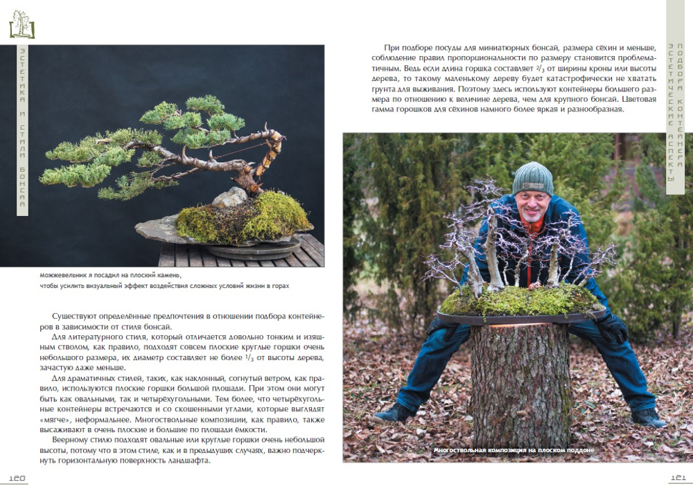 Бонсай. Маленькие деревья для большой радости
