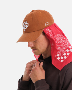 Кепка Anteater 6Panel Терракот