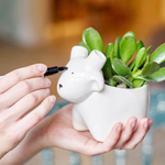 Набор для выращивания eco Овечка