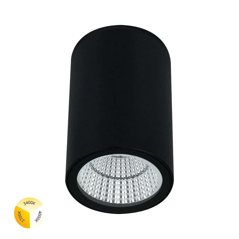 Уличный потолочный светодиодный светильник Arte Lamp TORCULAR A1307PF-1BK
