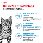 Royal Canin Indoor Appetite Control Индор Аппетайт Контрол Корм сухой для кошек живущих в помещении склонных к перееданию от 1 года до 7 лет 2кг