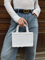 Dior Book Tote Mini