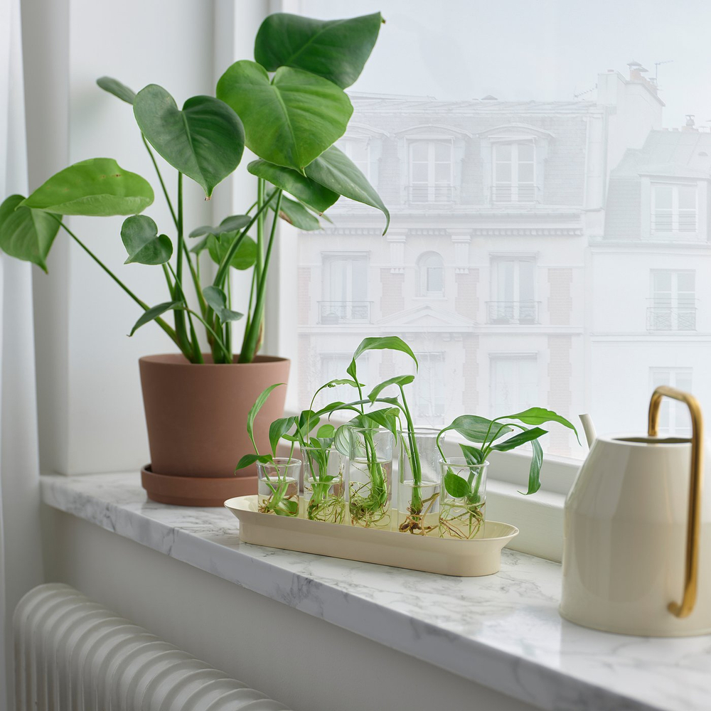 IKEA VATTENKRASSE  (ИКЕА ВАТТЕНКРАССЕ)  -  Набор для укоренения растений - стекло цвета слоновой кости/золотистый