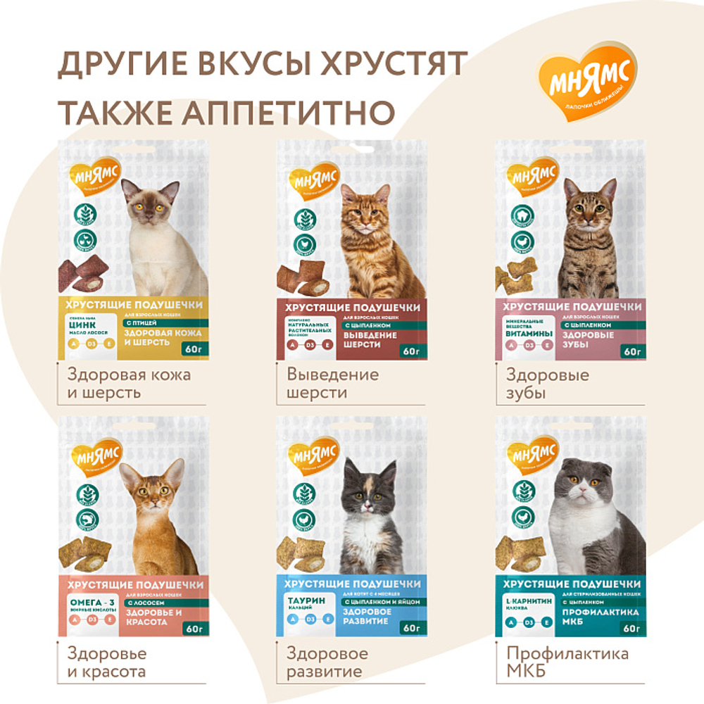 Лакомство для кошек Мнямс "Здоровье и активность" хрустящие подушечки с курицей 60 гр - 10 шт