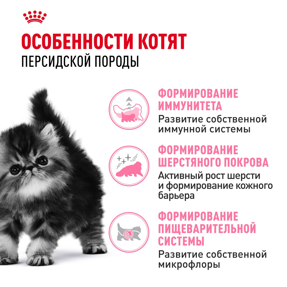 Royal Canin Persian Kitten Персиан Киттен Корм сухой для котят персидской породы до 12 месяцев 2кг