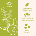 Organic India, Порошок фруктов амлы, 454 г (16 унций)