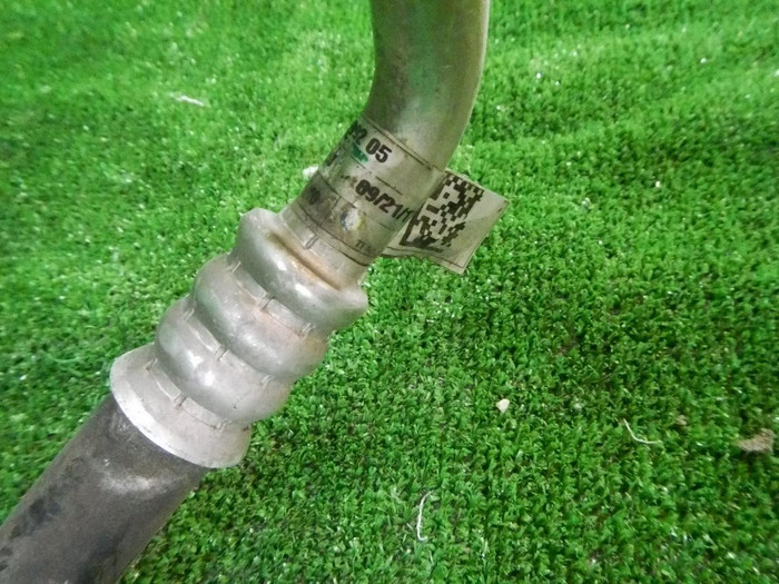 DSCN8678.JPG