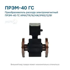 Преобразователь расхода электромагнитный ПРЭМ-40 ГС ИМИ/TR/16/НЖ/IP65/12/B1
