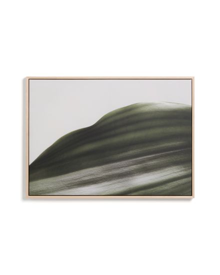 Фотография листа Foliae размер 52 x 72 см