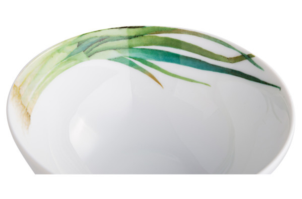 Салатник порционный 14см Noritake Овощной букет Зеленый лук