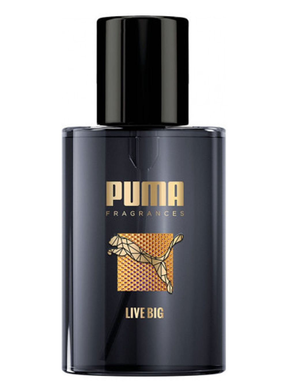Puma Live Big