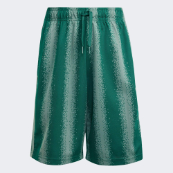 Adidas Шорты Minecraft, зеленый
