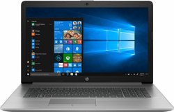 Ноутбук 17,3" HP 470 G7 (1F3K5EA)