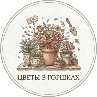 Цветы в горшках