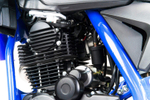 Мотоцикл Кросс Moto Apollo M4 300 EFI (175FMM PR5) синий