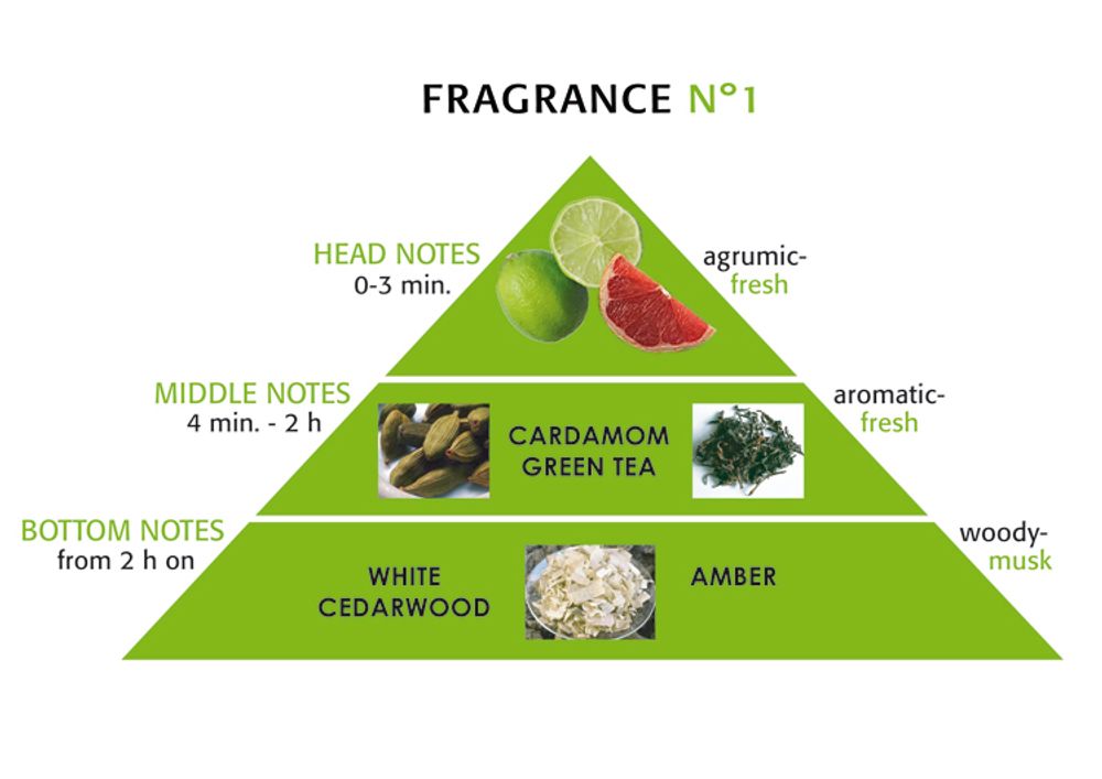 M. Asam No.1