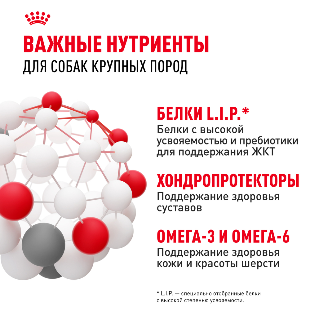 Корм сухой Royal Canin Maxi Adult для взрослых собак крупных размеров от 15 месяцев до 5 лет 15кг