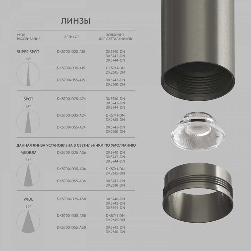 Светильник на штанге Denkirs SHINE SPOT DK5742-DN