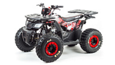 Квадроцикл PROMAX WILD 175