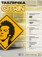 Табличка декоративная "Сид Вишес, Sid Vicious, Sex Pistols" на дверь и стену, прикольная штука в подарок, декоративный знак, 24,5х24,5 см, пластиковая, Айдентика Технолоджи