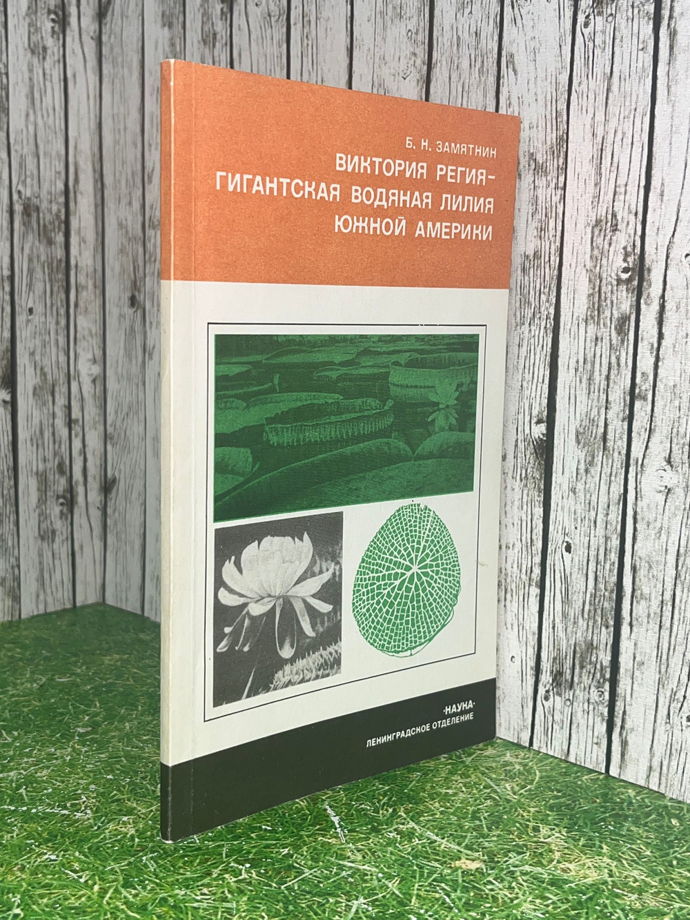 Виктория регия-гигантская водяная лилия Южной Америки