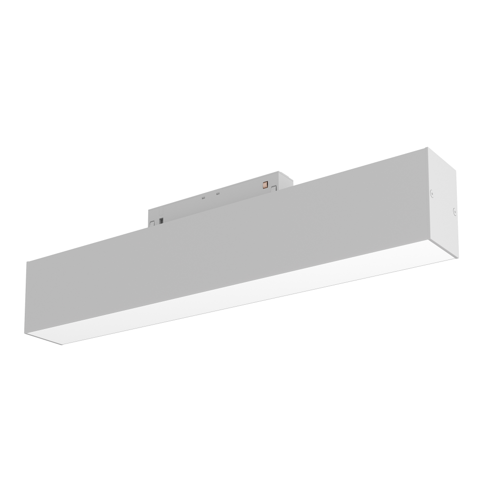 Магнитный трековый светильник Maytoni Basis TR074-2-12W3K-W