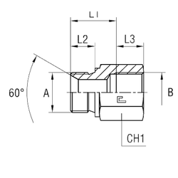 Соединение PF BSP 3/8 - BSP 3/8 L33