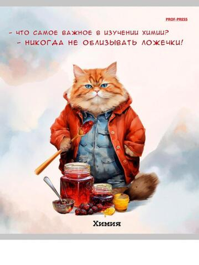 Тетрадь предметная 48л. клетка Химия "Жил-был кот" (Проф-Пресс)