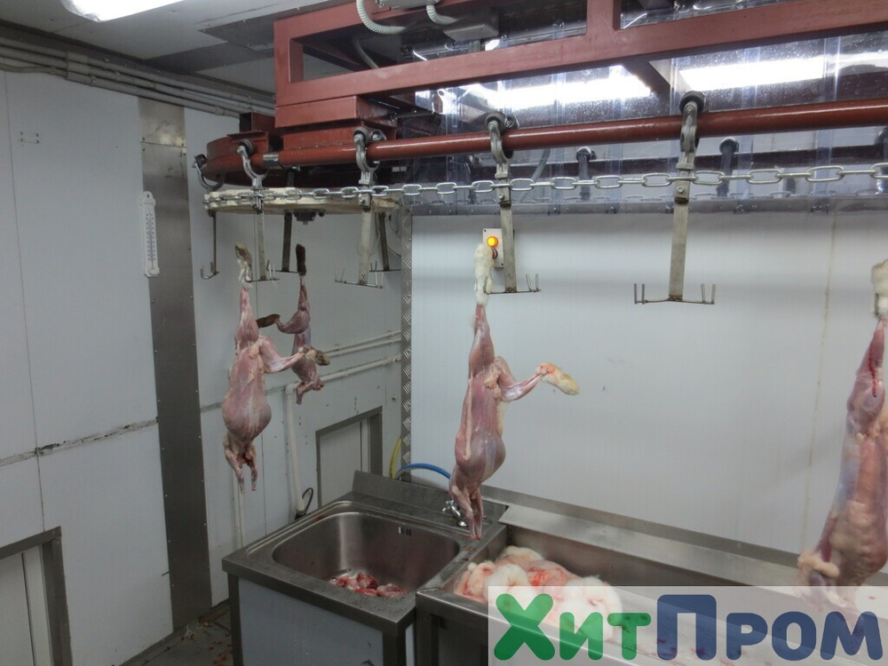 Комплекс убоя и переработки кроликов до 150 голов/час. Детское питание. Тульская область.