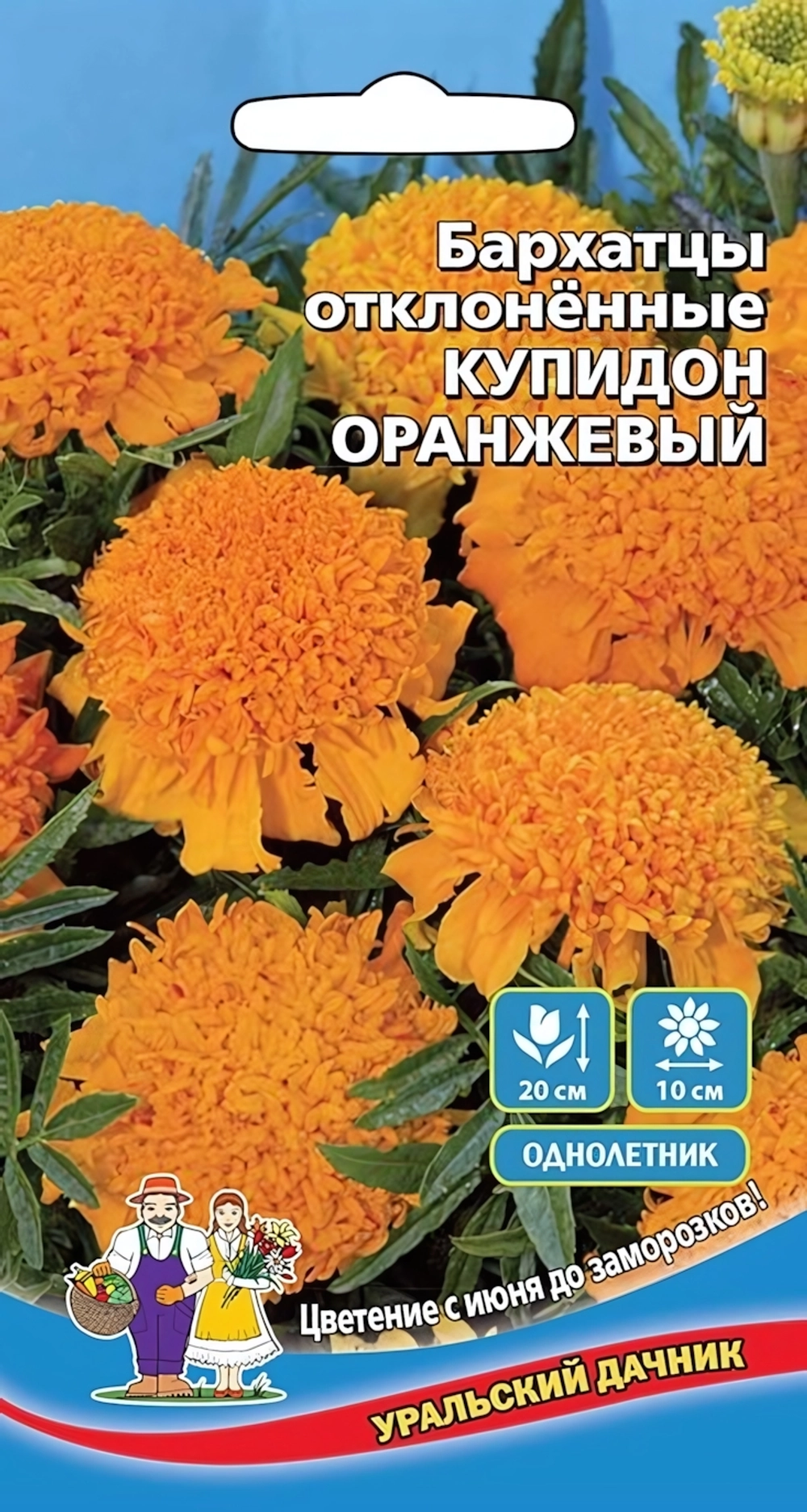 Семена Бархатцы отклоненные Купидон оранжевый 0,2гр (УД) Е/П