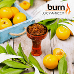 Burn - Juicy Apricot (200g)