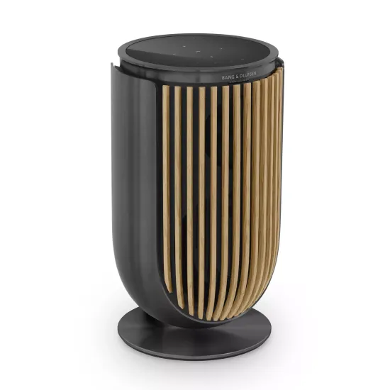 Bang & Olufsen Beolab 8 Black Anthracite/Oak, TS