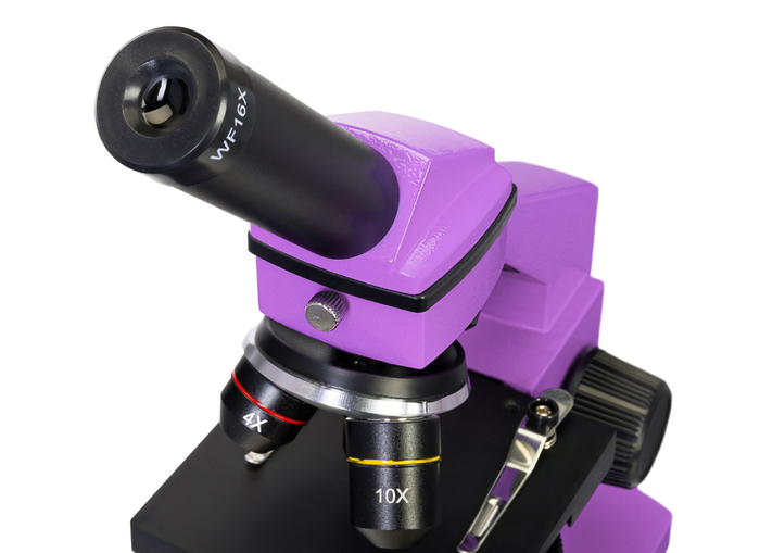 Микроскоп Levenhuk Rainbow 2L Аметист с набором для опытов Levenhuk K50