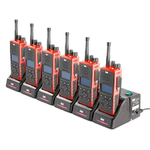 Зарядное устройство Entel CSBHT