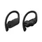 Беспроводные наушники Beats Powerbeats Pro Черный