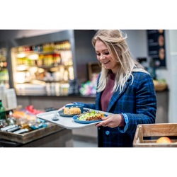 Миска CONNECT Organic 400мл синяя Koziol