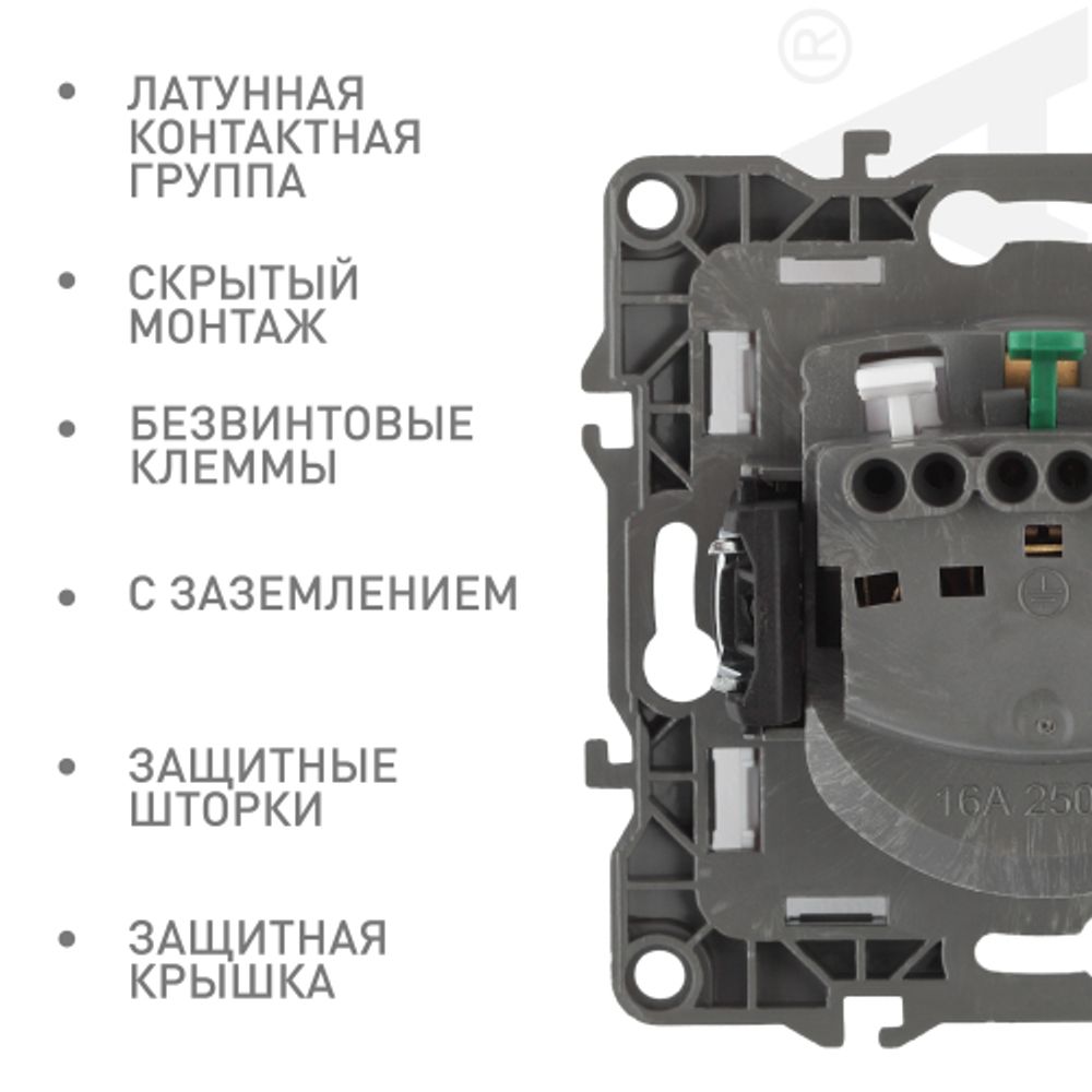 Розетка ЭРА Серия 12 12-2103-12 2P+E Schuko со шторками с крышкой 16A-250В IP20 графит | Эра 12