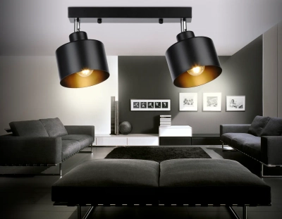 Настенно-потолочный спот в стиле лофт TR8142/2 BK черный E27*2 max 40W 340*120*180