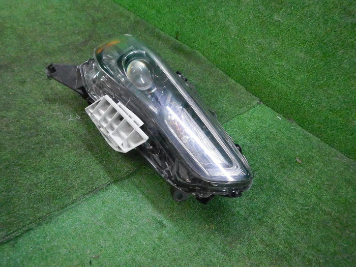 DSCN7309.JPG