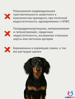 Бикардил 10 мг/80 мг для лечения сердечной недостаточности для собак 20-40 кг, 30 таблеток
