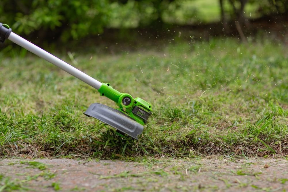 Триммер аккумуляторный Greenworks G24LT301, 24V, 30 см, с 1хАКБ 2А и ЗУ (2113207UA)