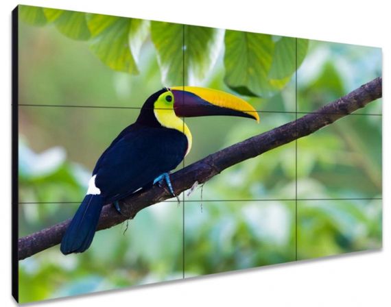 Exell EXPD-WA55AB35 - жК-панель для видеостен 55"