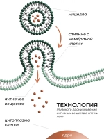 Восстанавливающий тоник с липосомами