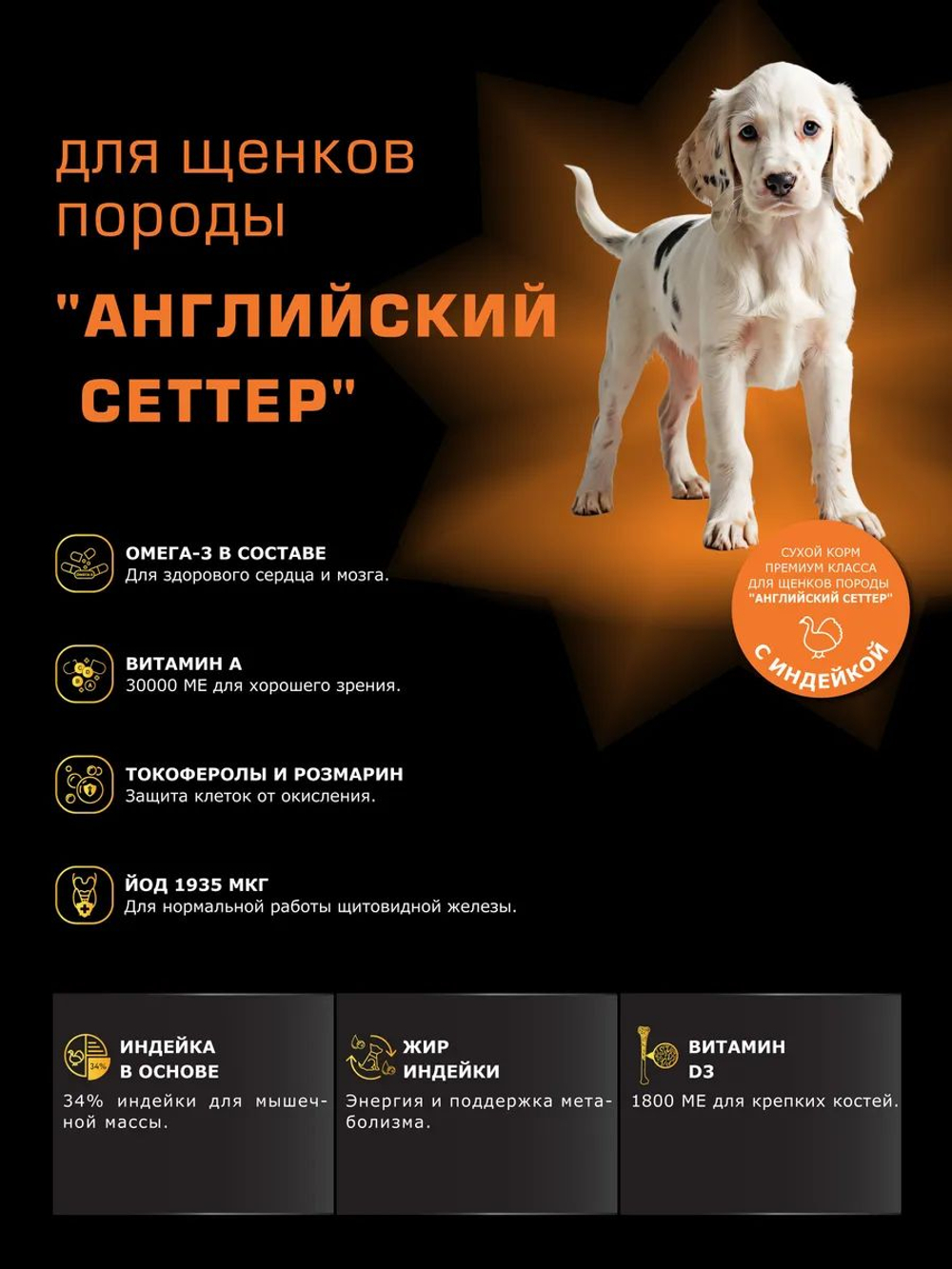 Корм сухой для щенков породы Английский сеттер, с индейкой, 3 кг, QUATTRO