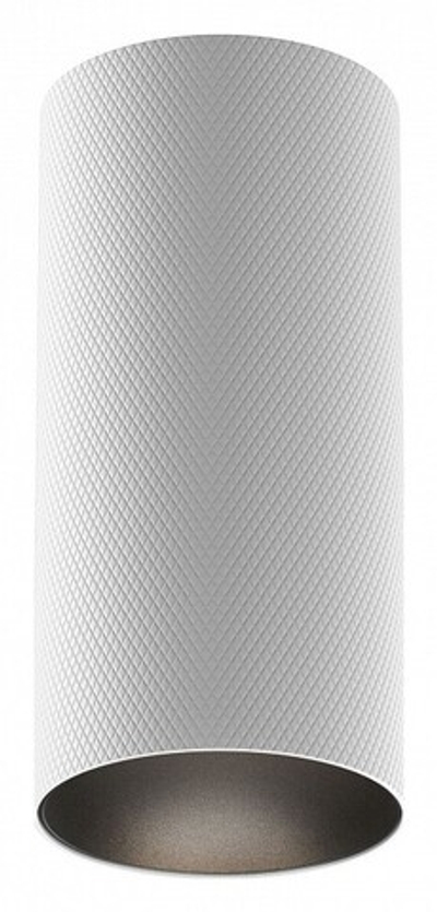 Накладной светильник Maytoni Artisan C080CL-01-GU10-W