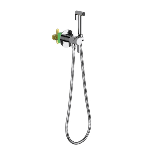 Смеситель встроенный с гигиеническим душем Caisa 9038/00SM Хром