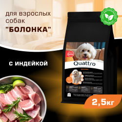 Корм сухой для взрослых собак породы Болонка, с индейкой, 2,5 кг, QUATTRO